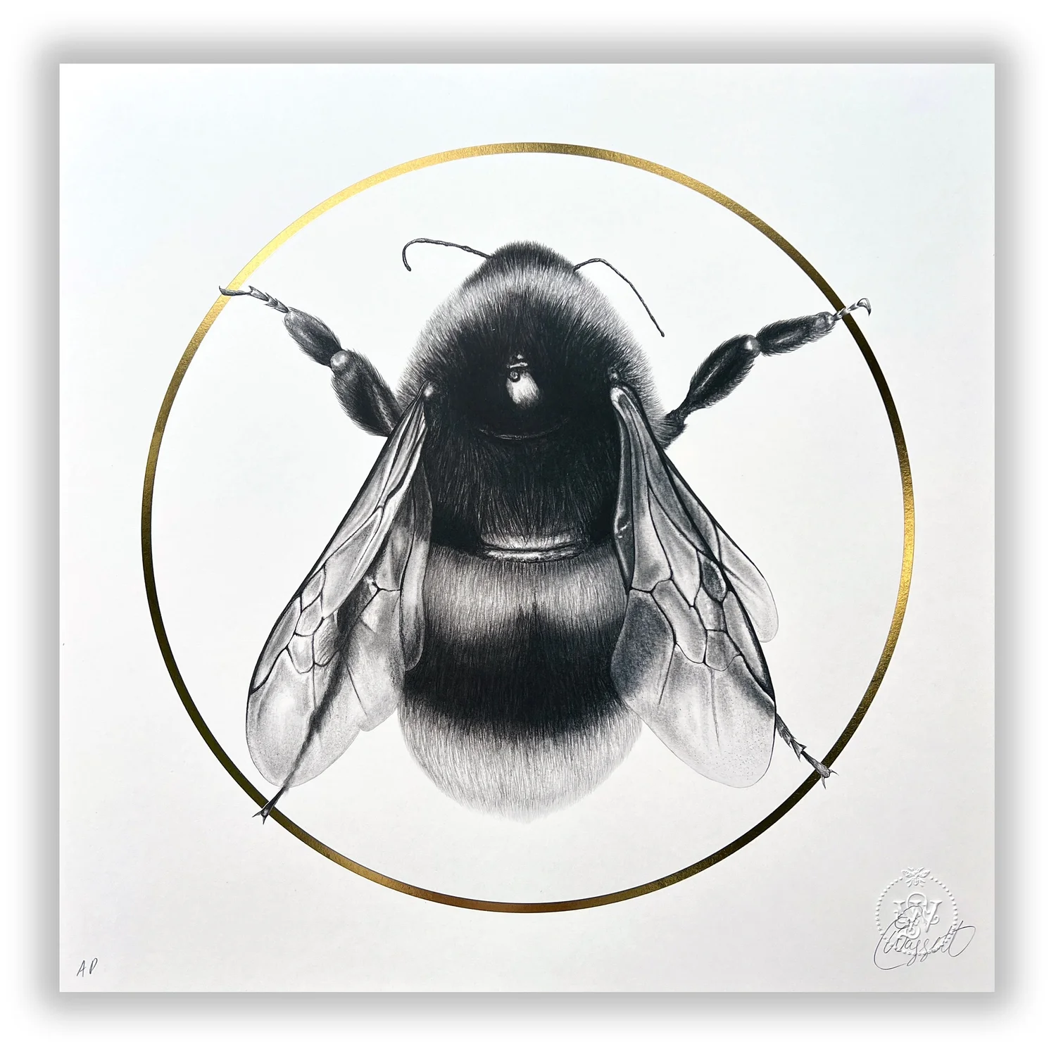 Bee+on+paper+copy.jpeg?format=